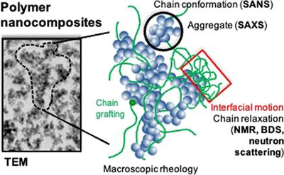 Editorial: Nanocomposites with interfaces controlled by grafted or adsorbed polymers